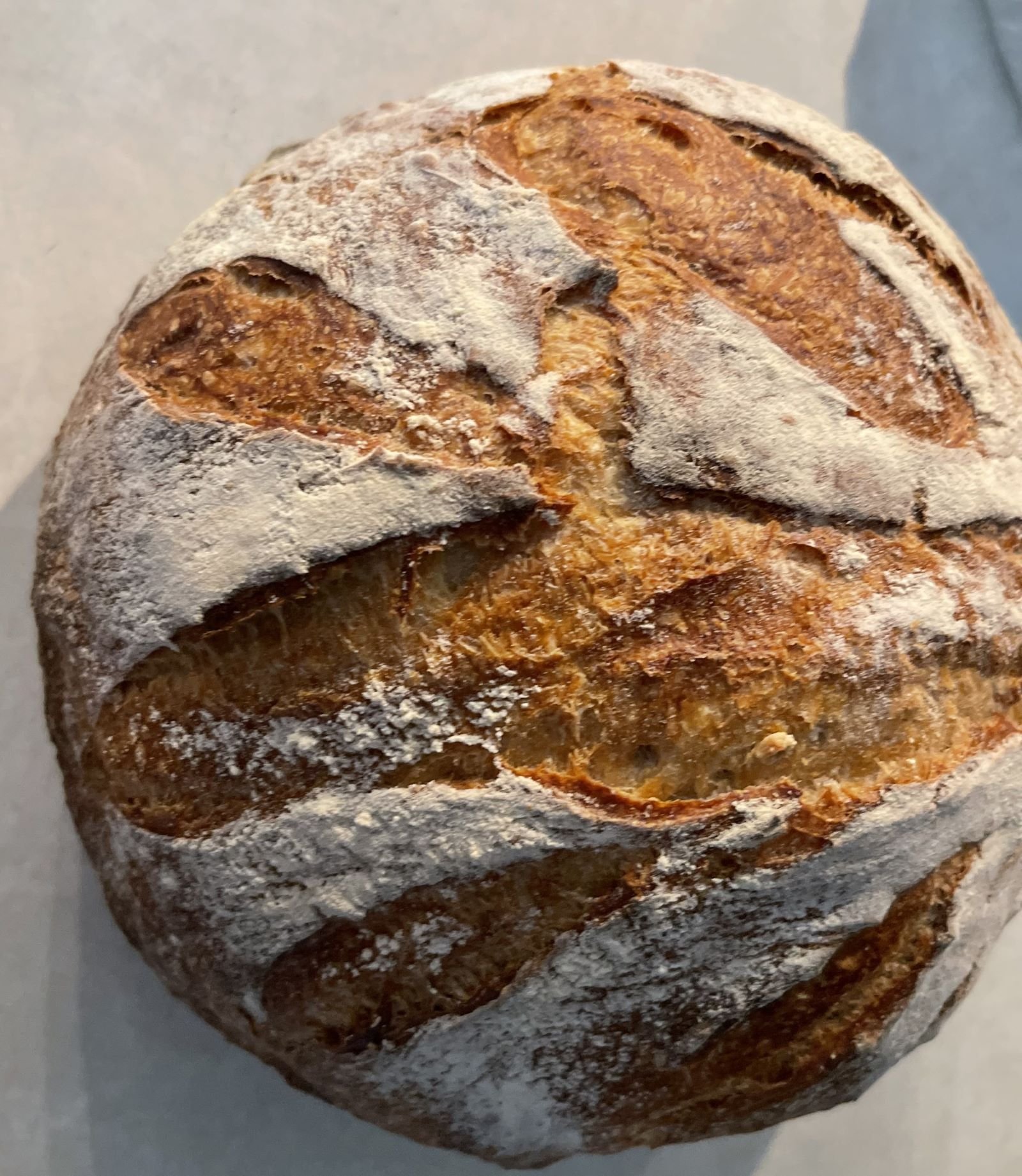 Sourdough Bread