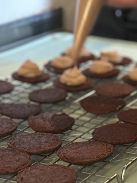 Chocolate Shortbread Mint Cookies