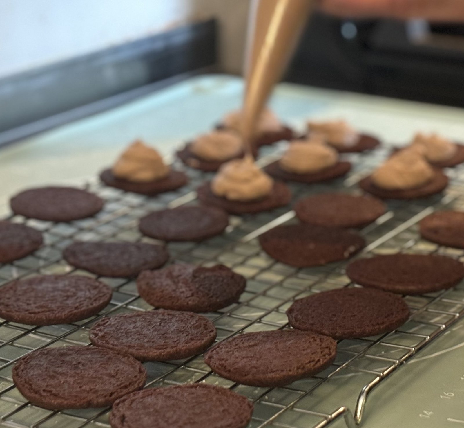 Chocolate Shortbread Mint Cookies